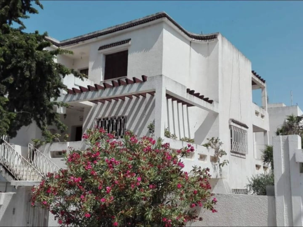 Dbf66af5 Ea83 4329 88a6 620b1ea10245